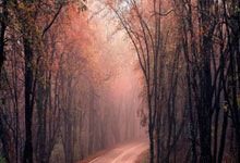 “世界杯足球赛扩军至48队,2025年首度实施”.