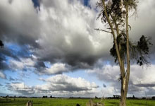 前意甲裁判:迪洛伦佐倒地是明显点球,无法理解主裁的判罚.