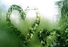 [CBA]CBA官方公布2025全明星完整阵容.