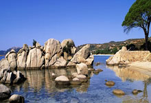 前意甲裁判:迪洛伦佐倒地是明显点球,无法理解主裁的判罚.